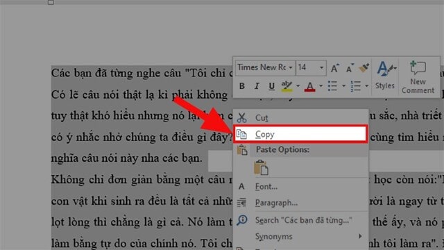 Ảnh 6: Bạn click chuột vào “Copy” khi màn hình tùy chọn của chuột phải xuất hiện (Nguồn: Internet)